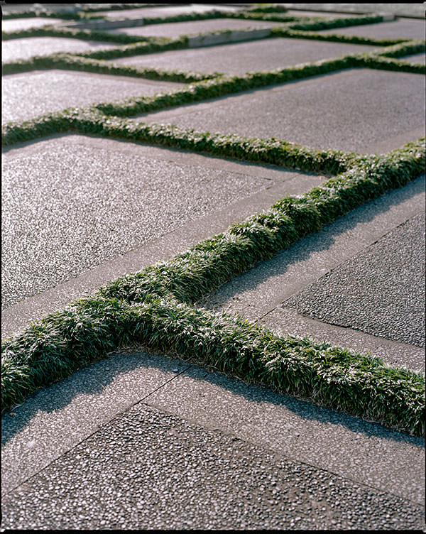 placeAuckland04